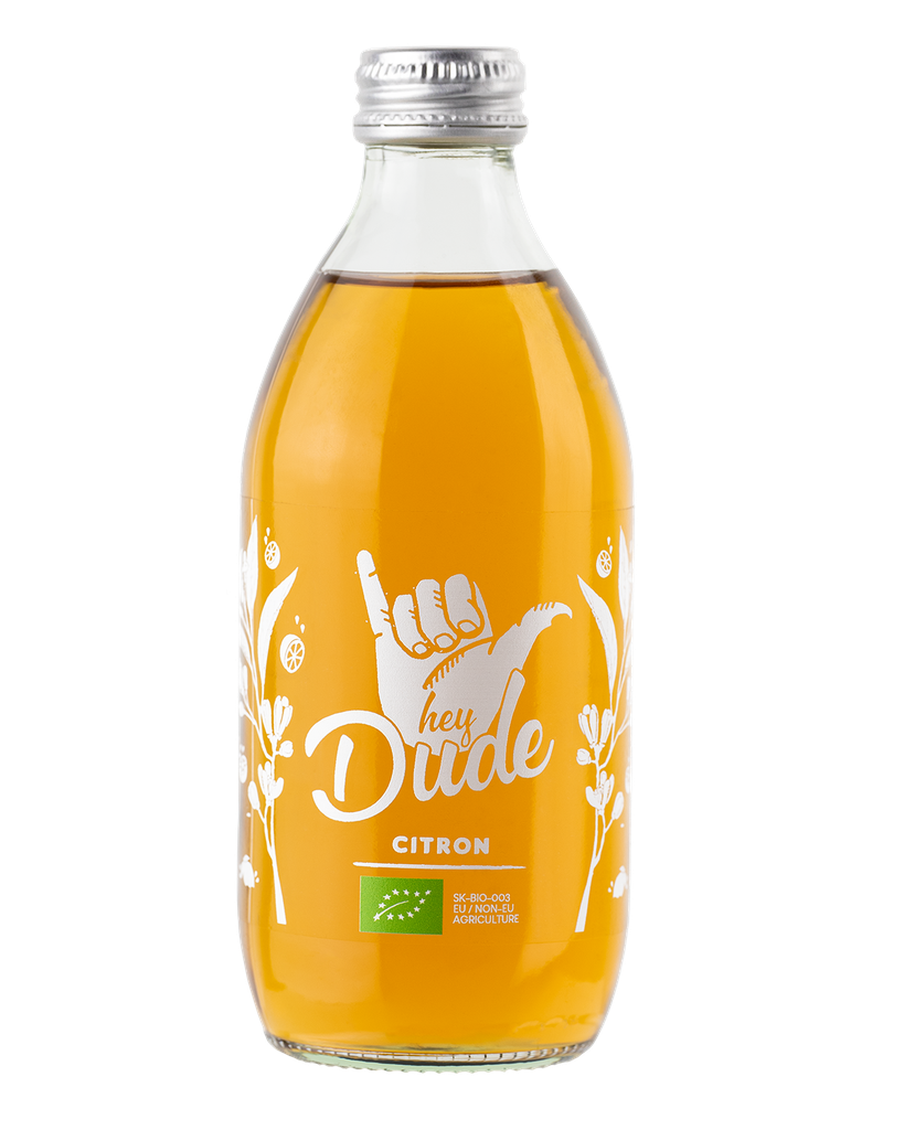 Dude Citron Bio verre - 12 x 33cl