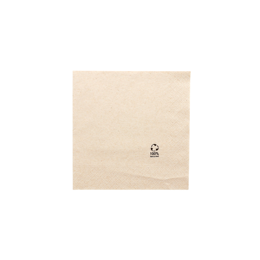 Serviettes Ecolabel 2 plis 30x30cm (2400 unités)