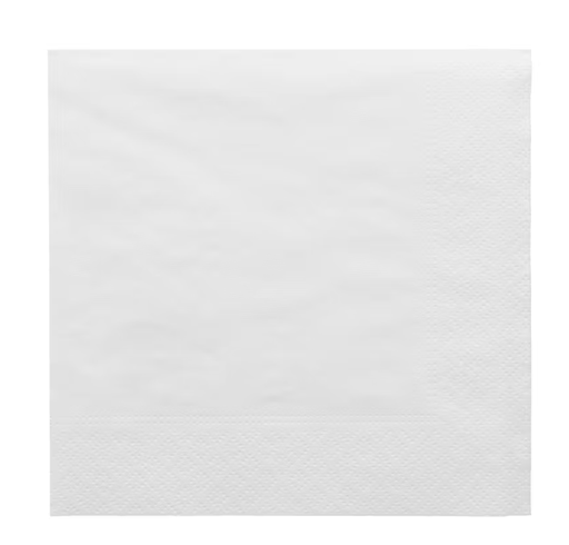 Serviettes Ecolabel 2 plis blanches ouate 18 g/m2 30x30cm (2400 unités)