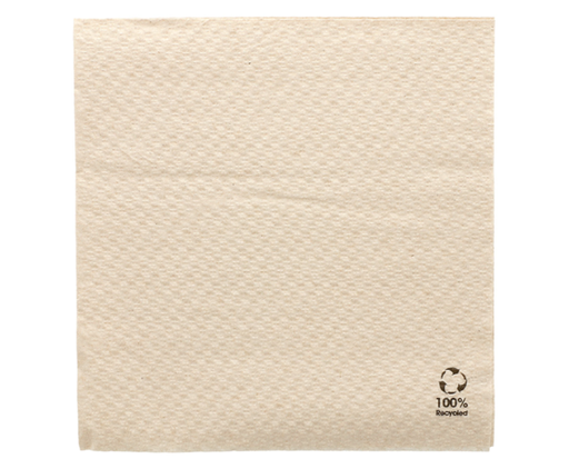 Serviettes Ecolabel 1 pli naturel ouate recyclée 23 g/m2 33x33cm (3000 unités)