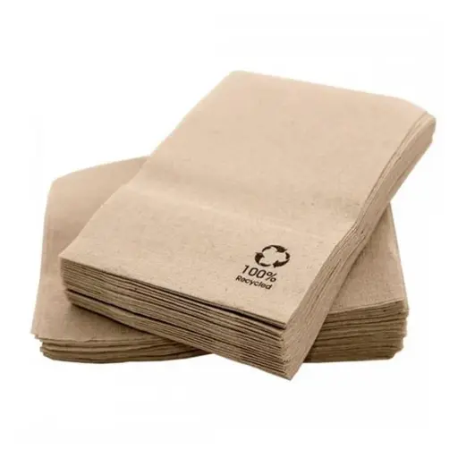 Serviettes Ecolabel 2 plis 18 G/M2 30x30cm ouate recyclée (2400 unités) 