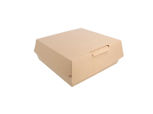 Boîtes Large lunch box Thepack 250 G/M2 23,5x24x8,7cm naturel carton ondulé nano-micro (150 unités) 